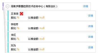 海南聲意圈信息技術咨詢中心 專業有限合伙信息技術咨詢服務